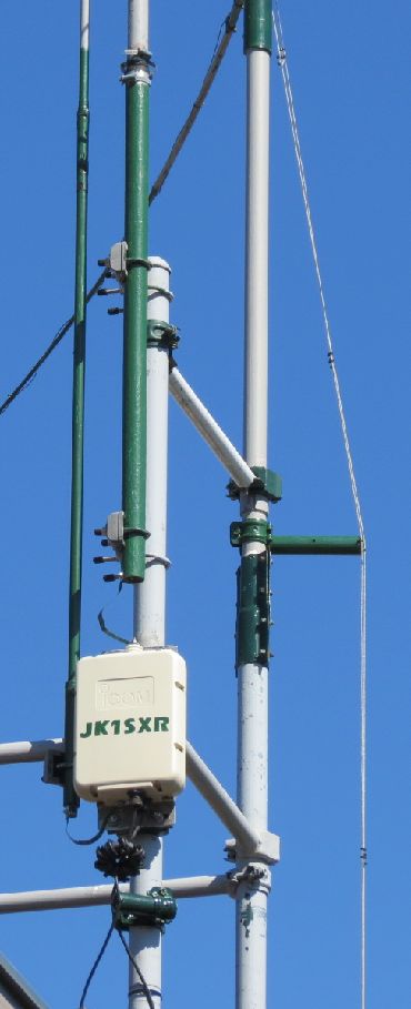 vertical ant 2